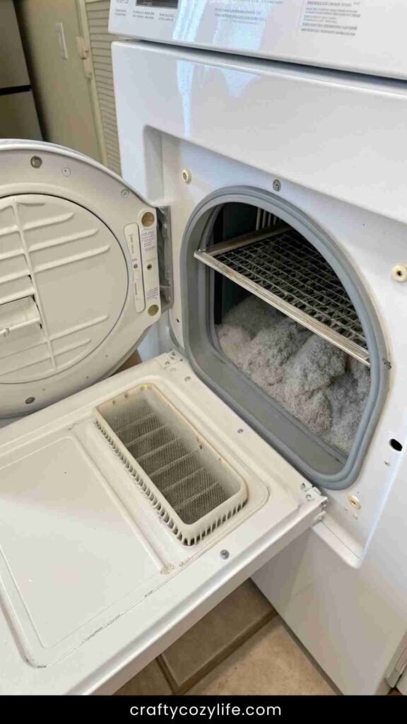 Clean the Exhaust Vent